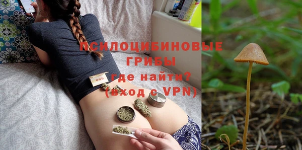 бошки Нягань
